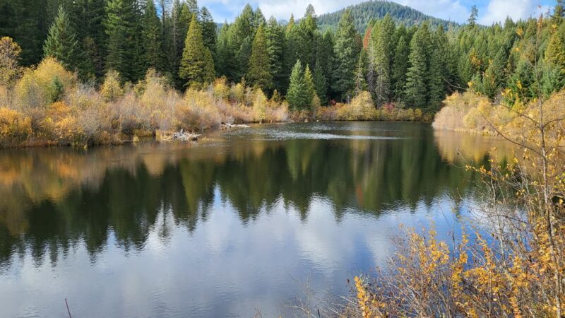 Prospect - Prospect, OR