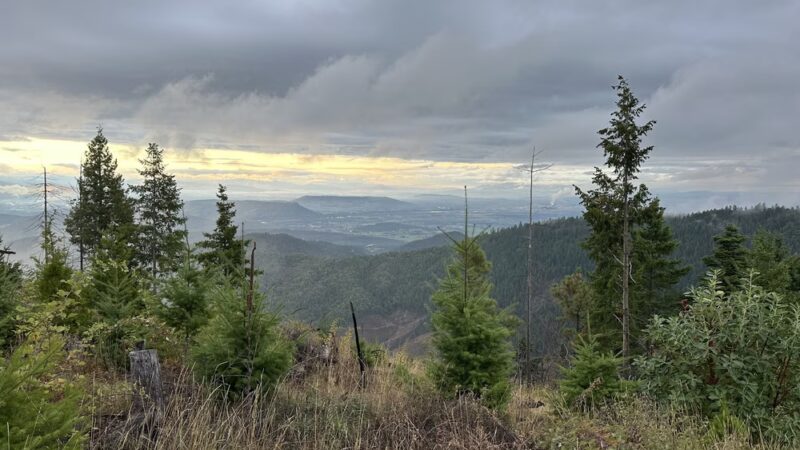 Prospect OHV Staging / Trailhead - Prospect, OR