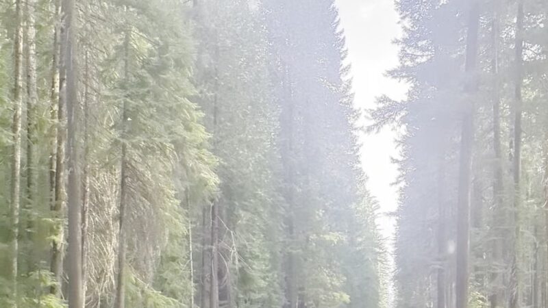Prospect OHV Staging / Trailhead - Prospect, OR