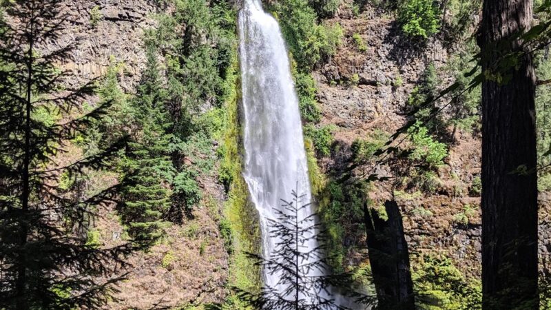 Prospect State Scenic Viewpoint - Prospect, OR