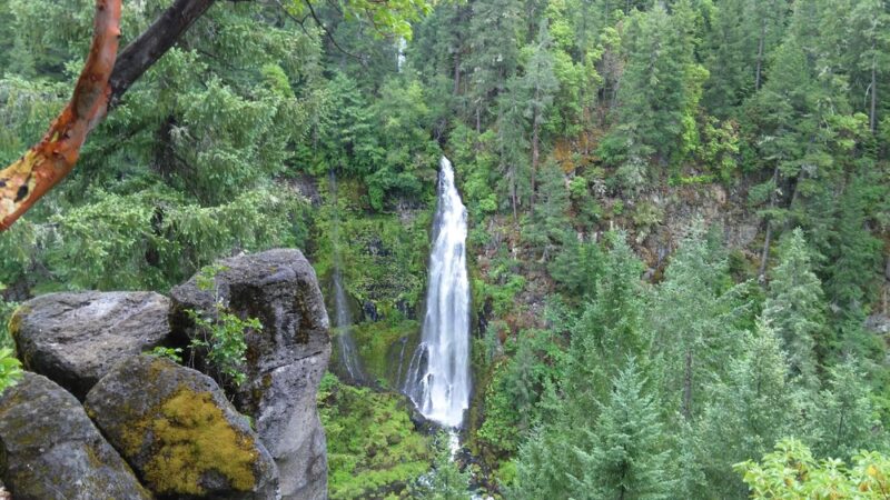 Prospect State Scenic Viewpoint - Prospect, OR