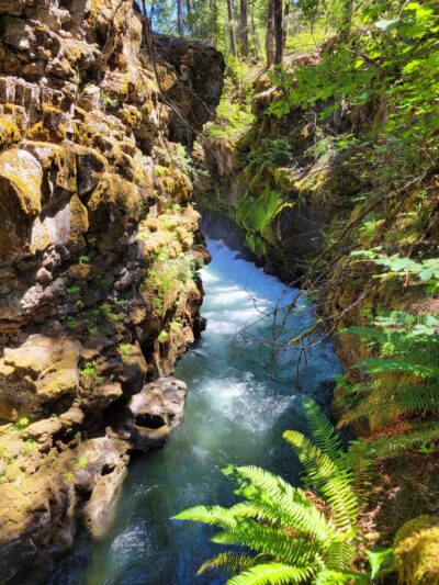 Rogue River Gorge Falls - Prospect, OR