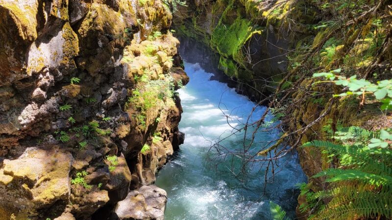 Rogue River Gorge Falls - Prospect, OR
