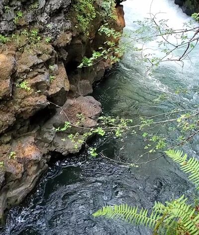 Rogue River Gorge Falls - Prospect, OR