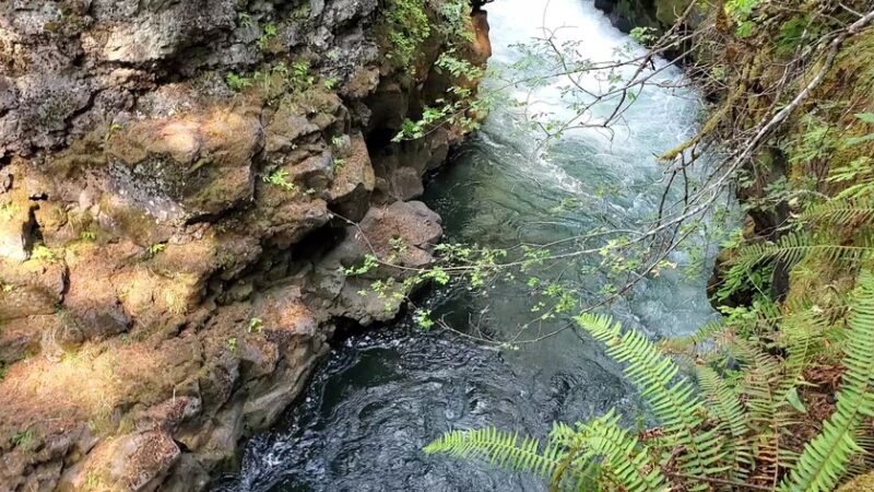 Rogue River Gorge Falls - Prospect, OR