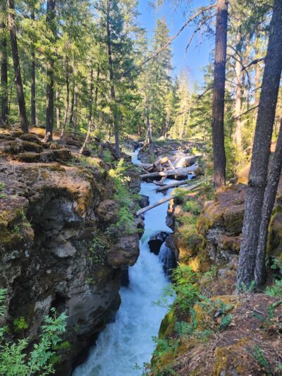 Rogue River Gorge Falls - Prospect, OR