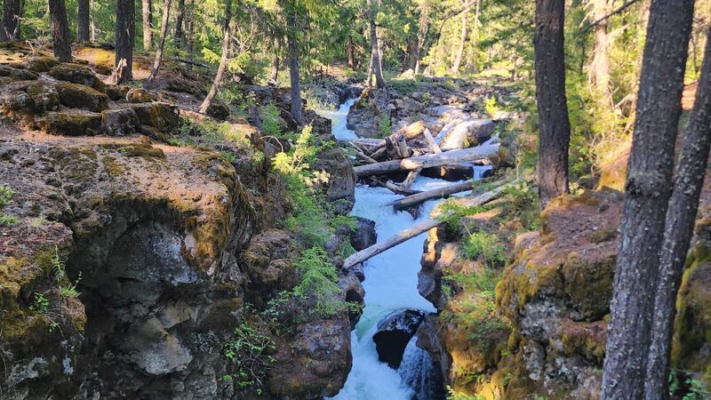 Rogue River Gorge Falls - Prospect, OR
