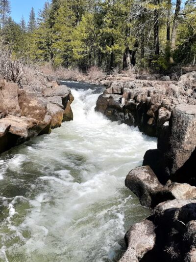 Rogue River Gorge Falls - Prospect, OR
