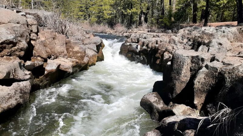 Rogue River Gorge Falls - Prospect, OR