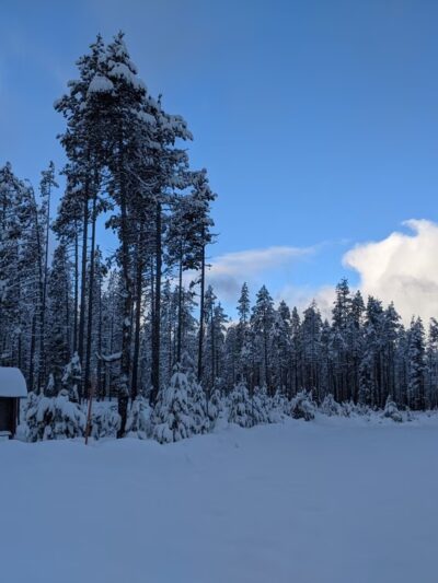 Thousand Springs Sno-Park / Staging - Prospect, OR
