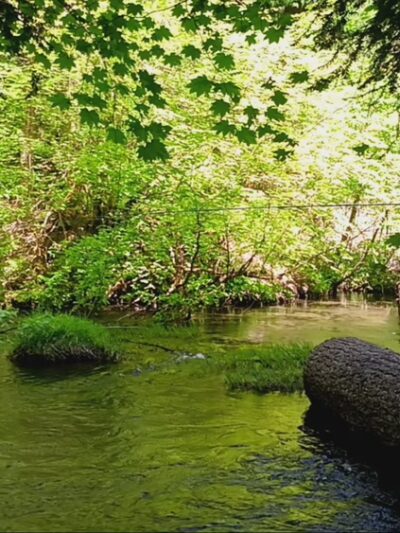 Union Creek Campground- Rogue River - Prospect, OR