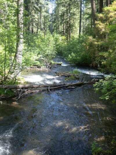 Union Creek Campground- Rogue River - Prospect, OR