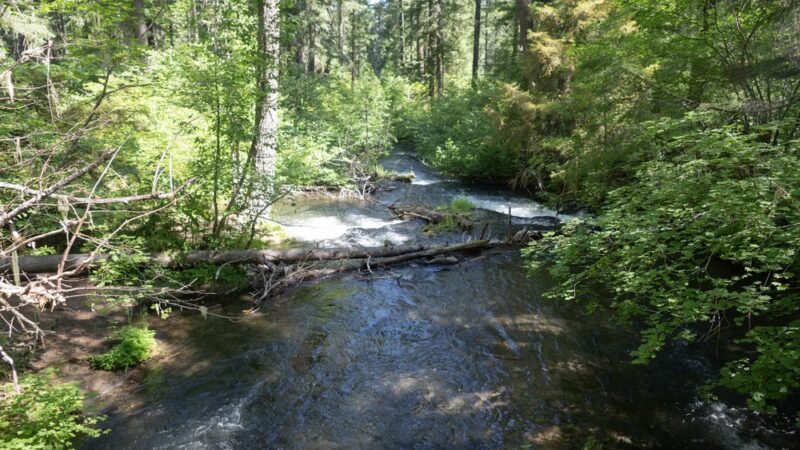 Union Creek Campground- Rogue River - Prospect, OR