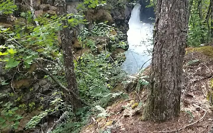 Union Creek Resort - Prospect, OR