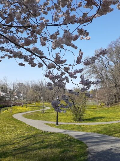 Moores lake park - Prospect Park, PA