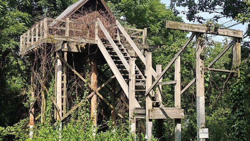 Moraine State Park Bat House - Prospect, PA