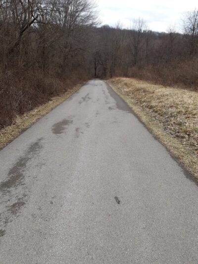 Moraine State Park Bat House - Prospect, PA
