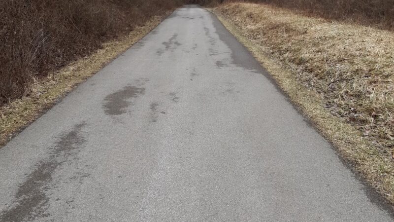 Moraine State Park Bat House - Prospect, PA