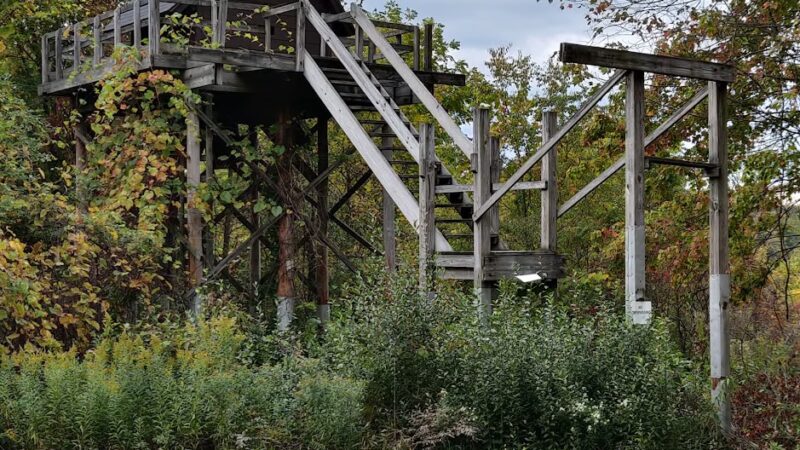 Moraine State Park Bat House - Prospect, PA