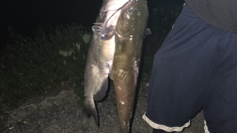 Old 422 Fishing Pier - Prospect, PA