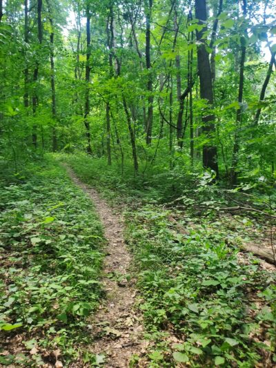 Wyggeston Trail - Prospect, PA