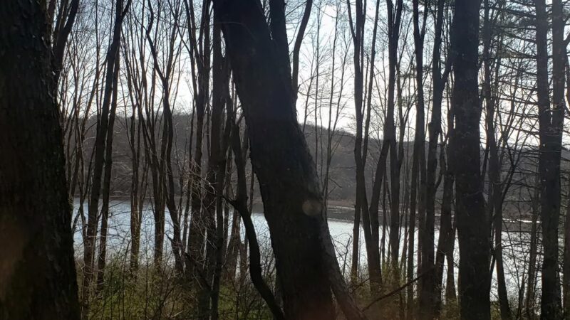 Wyggeston Trail - Prospect, PA