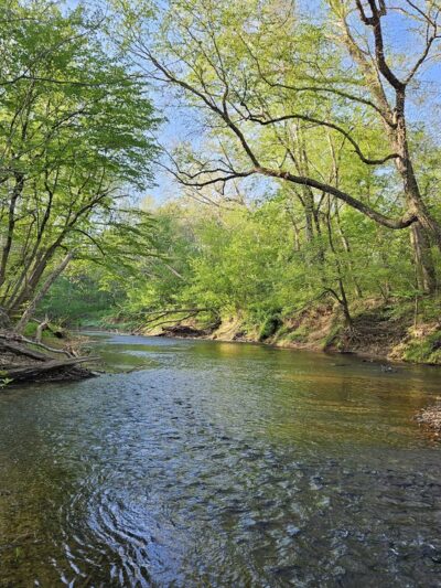 Featherfin Wildlife Management Area - Prospect, VA