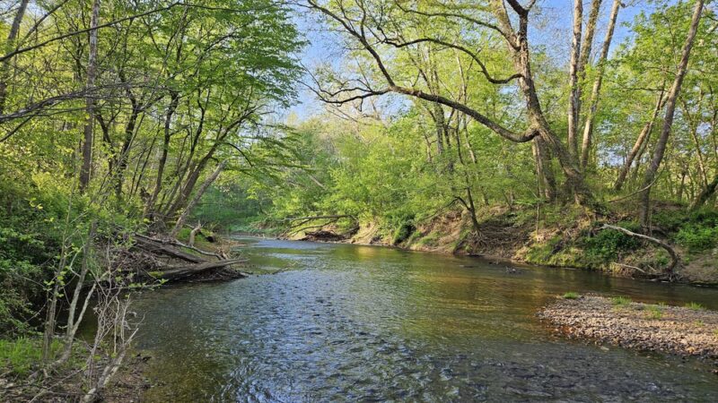 Featherfin Wildlife Management Area - Prospect, VA