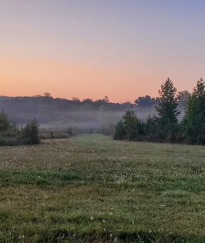 Featherfin Wildlife Management Area - Prospect, VA