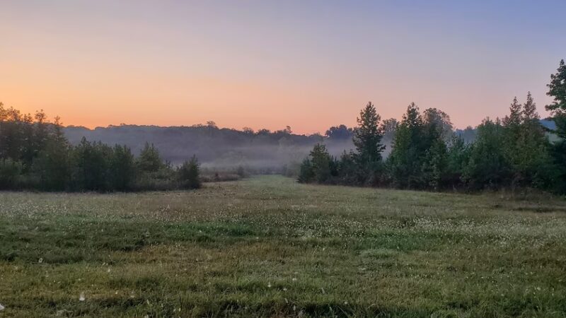Featherfin Wildlife Management Area - Prospect, VA