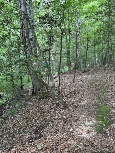 Crawfords State Forest - Providence Forge, VA