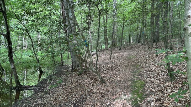 Crawfords State Forest - Providence Forge, VA