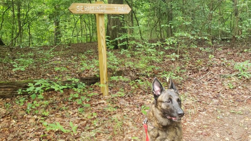 Crawfords State Forest - Providence Forge, VA
