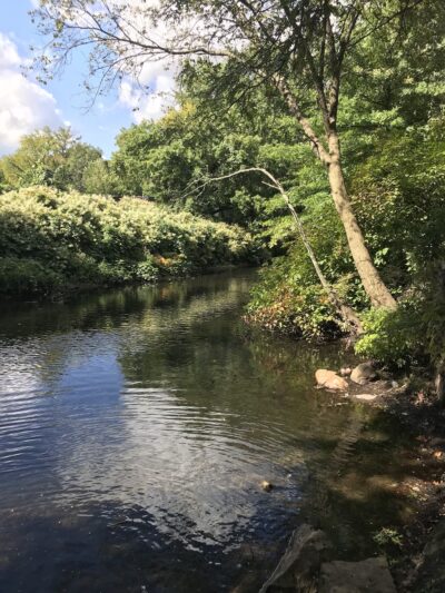 Donigian Park - Providence, RI