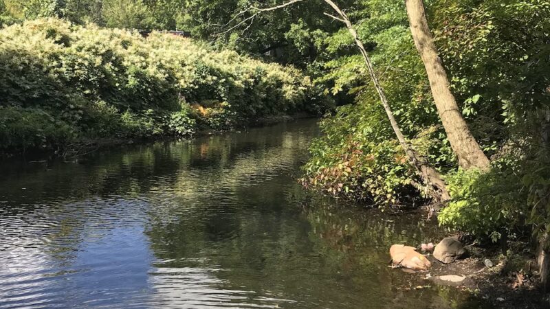 Donigian Park - Providence, RI