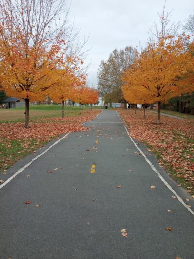Donigian Park - Providence, RI
