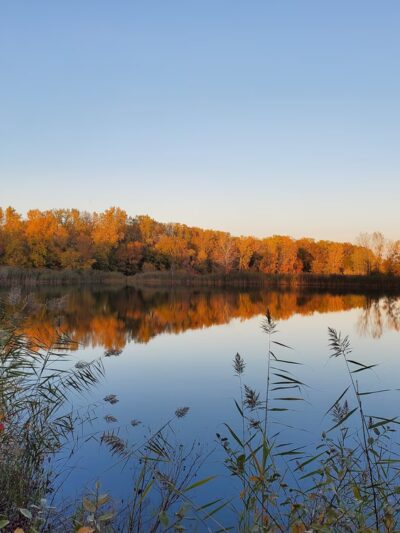 Pulaski Community Park - Pulaski, WI