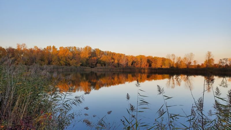 Pulaski Community Park - Pulaski, WI