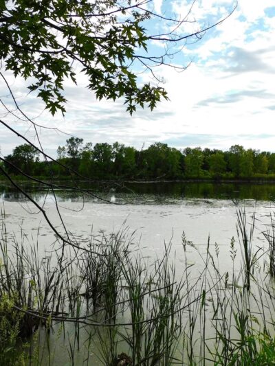 Pulaski Community Park - Pulaski, WI