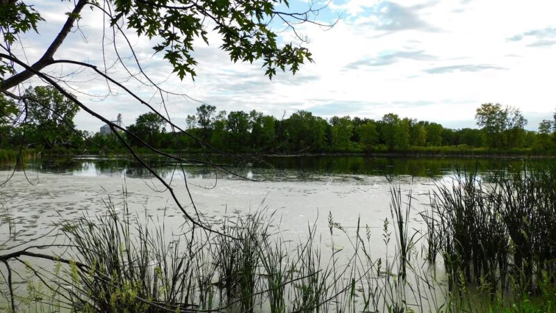 Pulaski Community Park - Pulaski, WI
