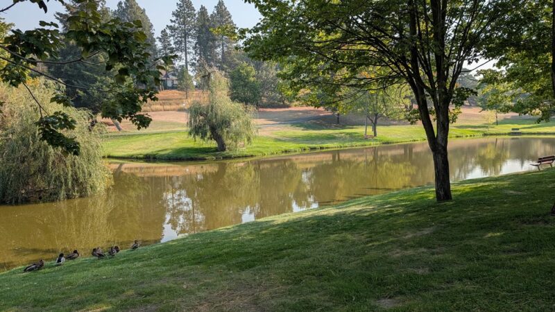 Sunnyside Park - Pullman, WA