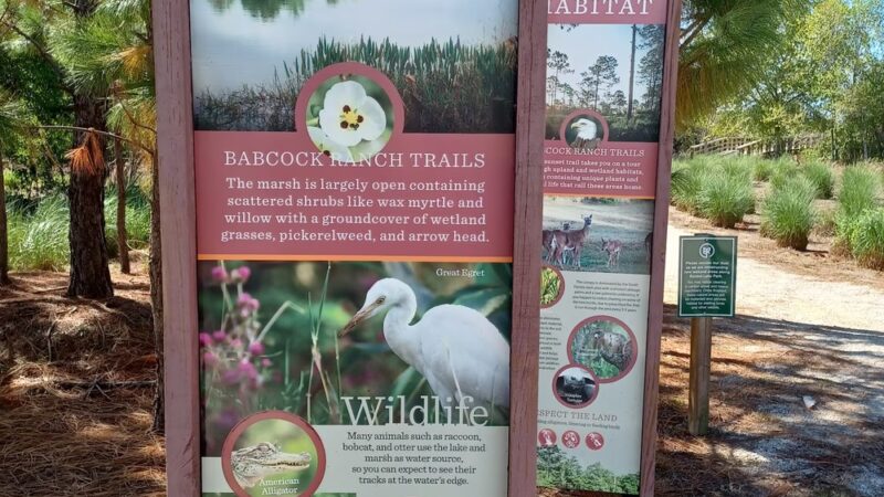Sunset Park At Babcock Ranch - Punta Gorda, FL