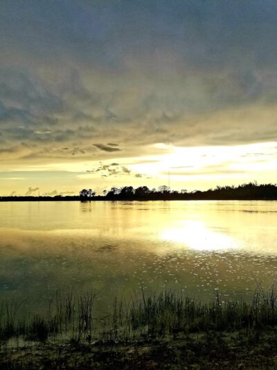 Sunset Park At Babcock Ranch - Punta Gorda, FL