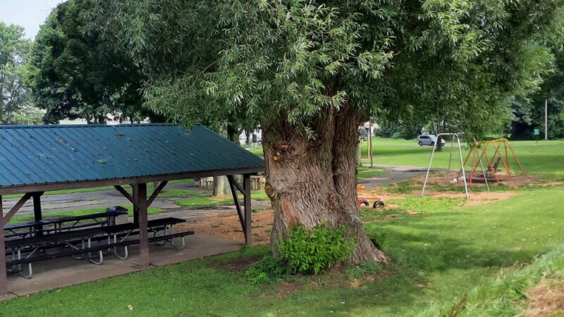 Harmon Field - Punxsutawney, PA