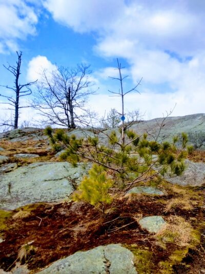 Anthony's Nose Preserve - Putnam Station, NY