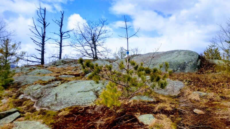 Anthony's Nose Preserve - Putnam Station, NY