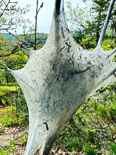 Anthony's Nose Preserve - Putnam Station, NY