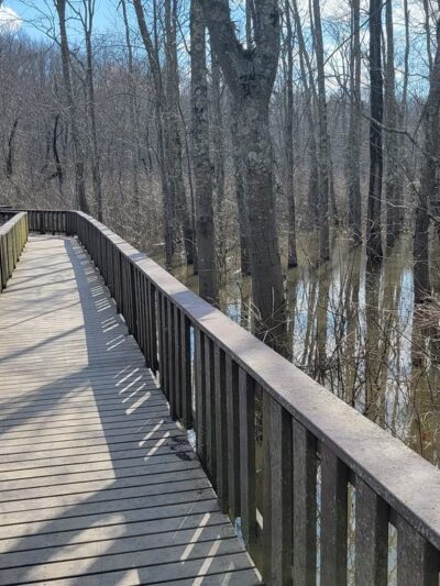 Swampwalk Nature Trail - Puxico, MO