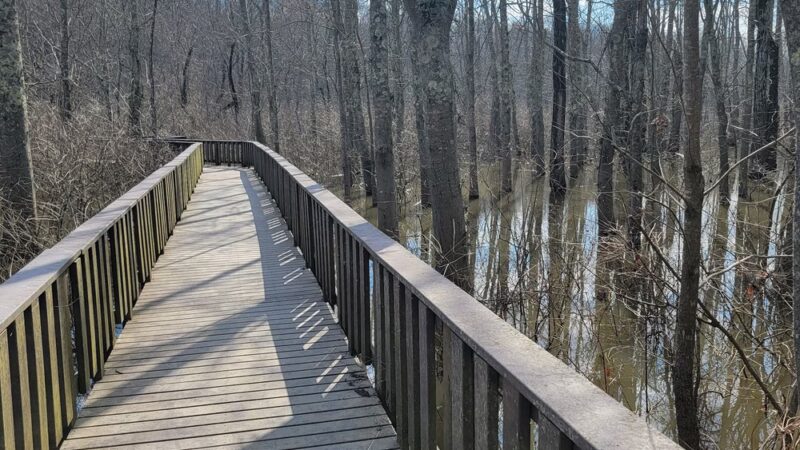 Swampwalk Nature Trail - Puxico, MO