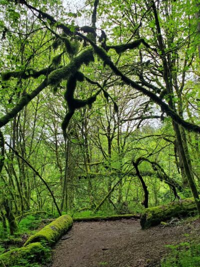 Clark's Creek Park South - Puyallup, WA